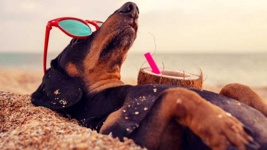 bono vacaciones