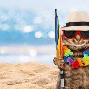 Se anuncia Bono de Vacaciones para socios y socias del sindicato