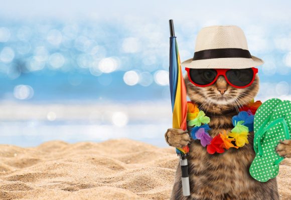 Se anuncia Bono de Vacaciones para socios y socias del sindicato
